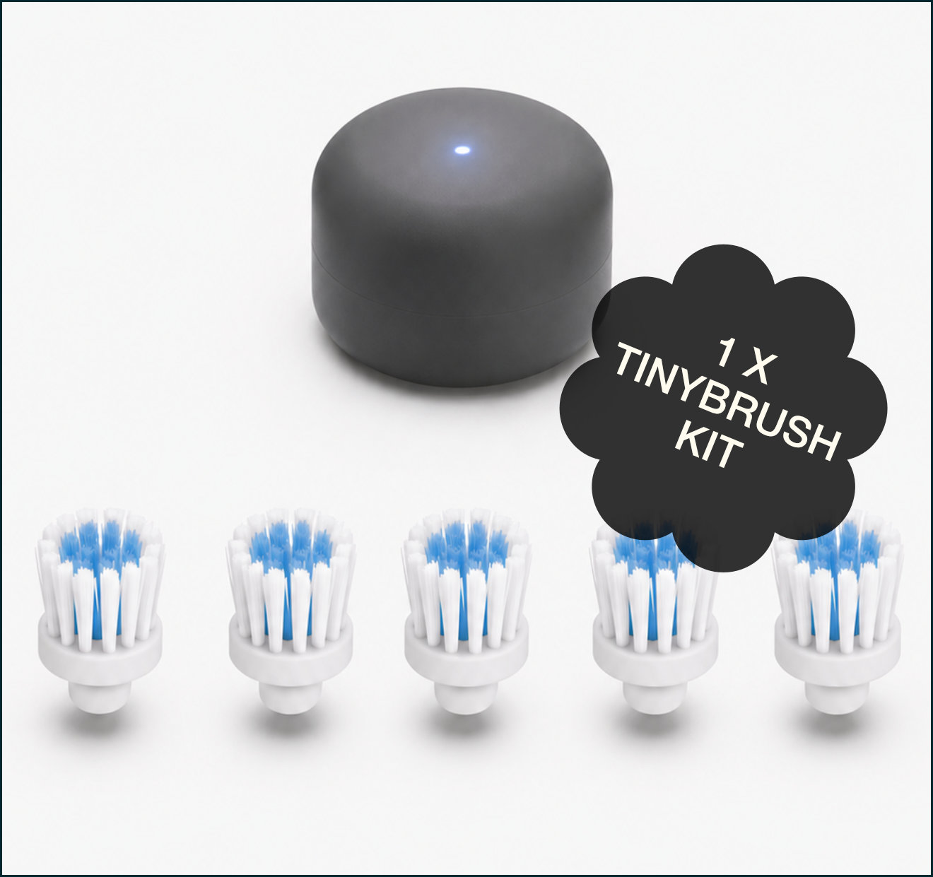 One TinyBrush with five brush bristles