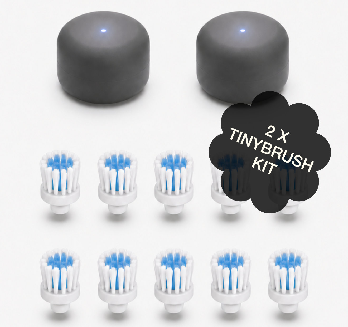 Two TinyBrush units with ten brush bristles